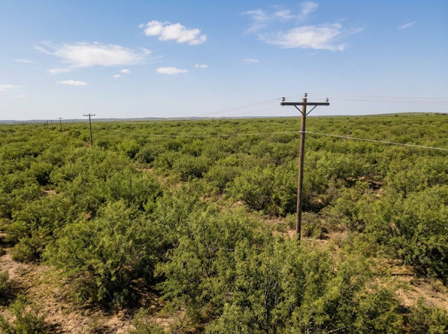 Commercial Property for Sale in Vanwyksvlei Northern Cape